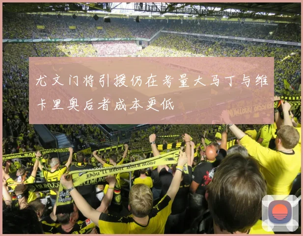 尤文门将引援仍在考量大马丁与维卡里奥后者成本更低